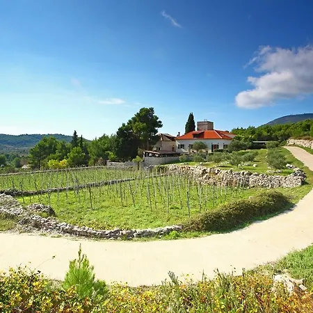 Dojmi Vis